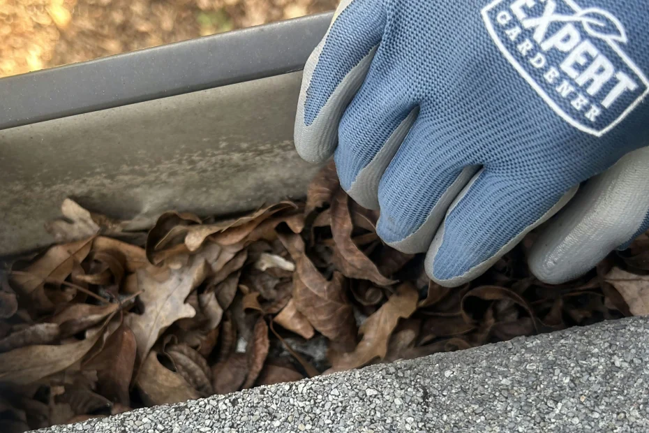 Gutter Cleaning Walker