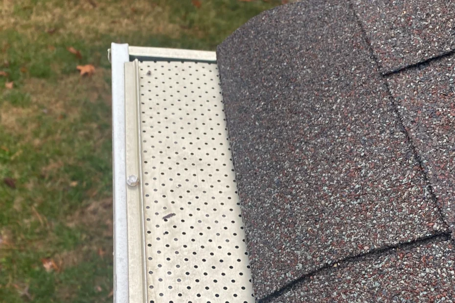 Gutter Cleaning Walker