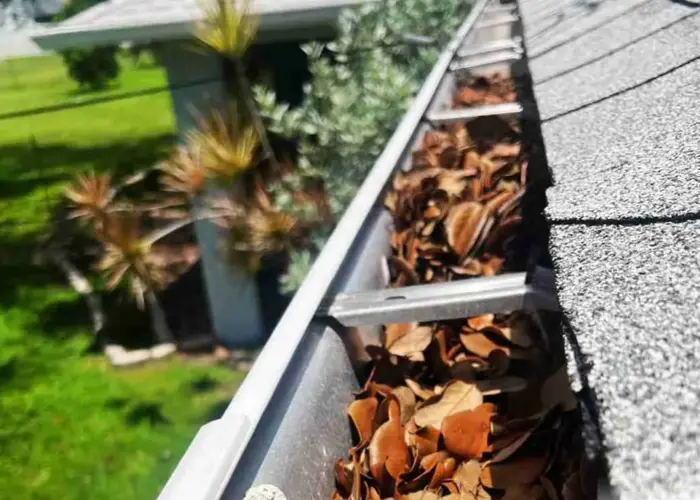 Gutter Cleaning Walker home page